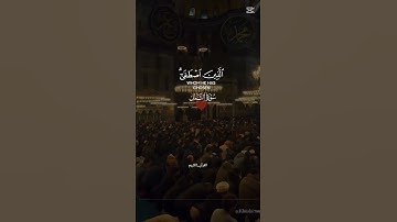 سورة النمل         يأسر الدوسري #قران_كريم #قران_كريم #قران_كريم #قران_كريم