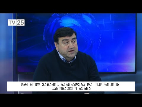 გრიგოლ ვაშაძის განცხადება და ოპოზიციის სამომავლო გეგმა