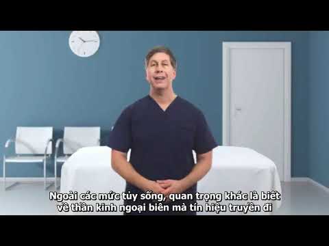 Video Deep Tendon Reflexes- Khám phản xạ gân xương - youtube