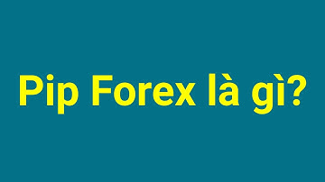 Forex | Pip là gì - Pips Forex là gì