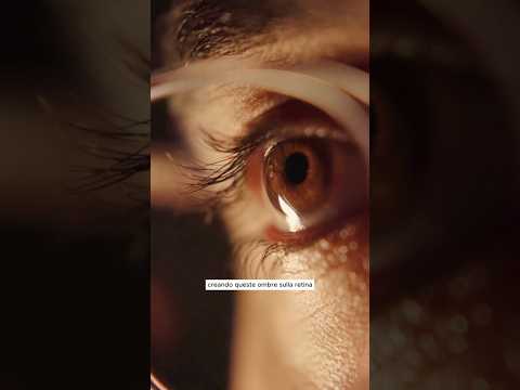 Video Vedi MOSCHE VOLANTI e Lampi di Luce? Fai attenzione a QUESTO