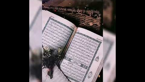 حالات واتساب سورة الكهف (تيك توك)