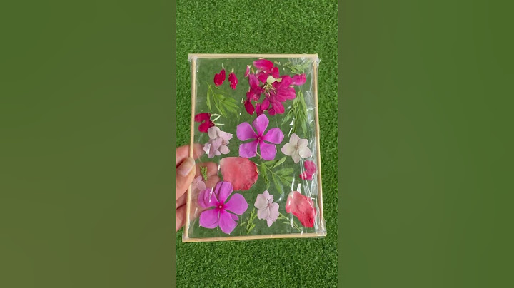 #shorts #youtubeshorts #youtube #diy #craftboxx #paintingideas #travel #artandcraft