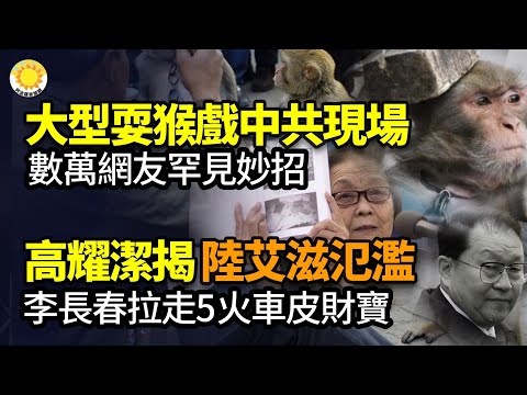 🔥大型「耍猴」現場！數萬網友罕見妙招戲弄中共；名醫高耀潔揭露中共國艾滋病泛濫全國 李長春從河南拉走5火車皮財寶；河南多地「雷打雪」 鄭州暴雪烏鴉滿天飛【阿波羅網WZ】