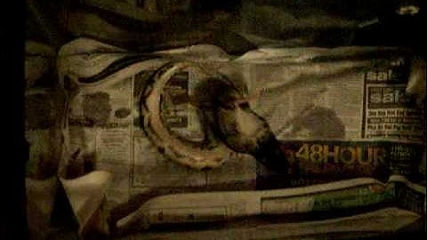 Corona the ball python eats rat