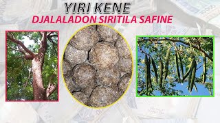 YIRI KENE - PROFESSEUR MAKAN CISSE (THEME) SIRITIGAI SAFINE  -djala ladon - n'guele - guiliki