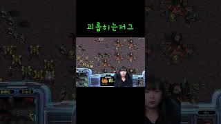 괴롭히는 저그 #빨무 #게임 #스타크래프트 #gaming #gameplay #shots