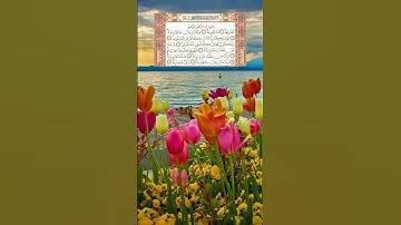 Surah Al Qariah { سورة القارعة‎ }  ☆♤☆  الشيخ هيثم الدخين