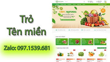 Video 12 - Hướng dẫn trỏ tên miền