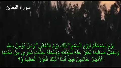 سورة التغابن (فارس عباد) مع كتابه الايات جوده عاليه