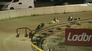 Jock Dalton Memorial Heat 2 - Catch a Cobra
