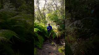 REALITY of Making Hiking Videos #solohiking #shortsvideo #hiking #bluemountains #australia #shorts