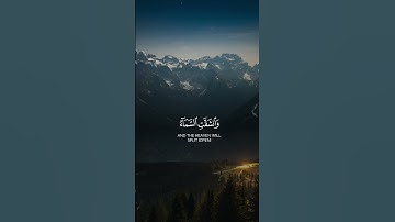 القارئ عامر السعيدي 🎧❤️🎧