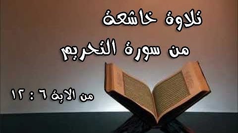 تلاوة خاشعة |  سورة التحريم من الاية 6 : 12