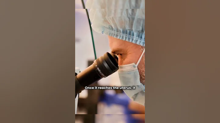 "How Life Begins: Egg Meets Sperm👶  #science #shorts  #life