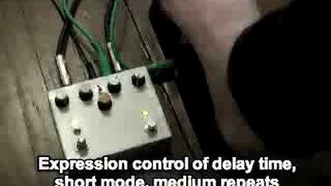 Experimentalists Anonymous Sandwich Echo #13