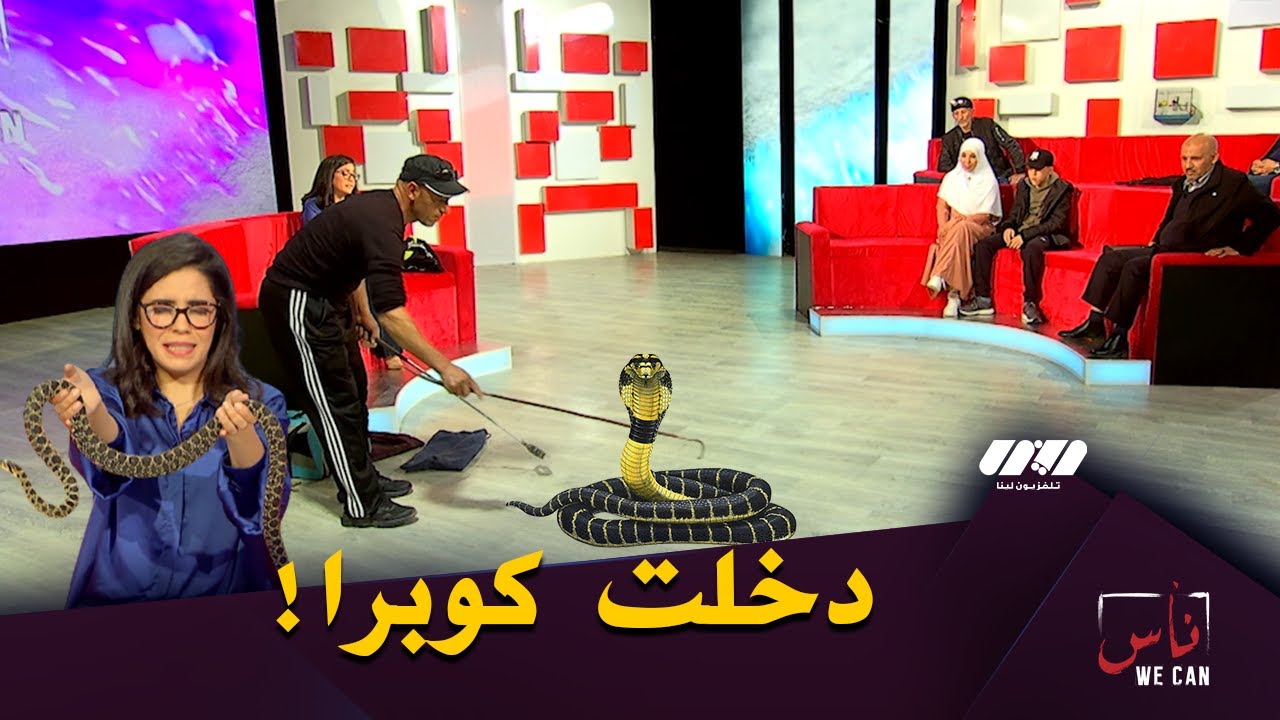 مربي أخطر الحيوانات في الجزائر يقدم عرض مع 