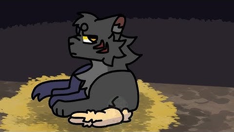 Boy In The Bubble - Breezepelt MAP Part 2