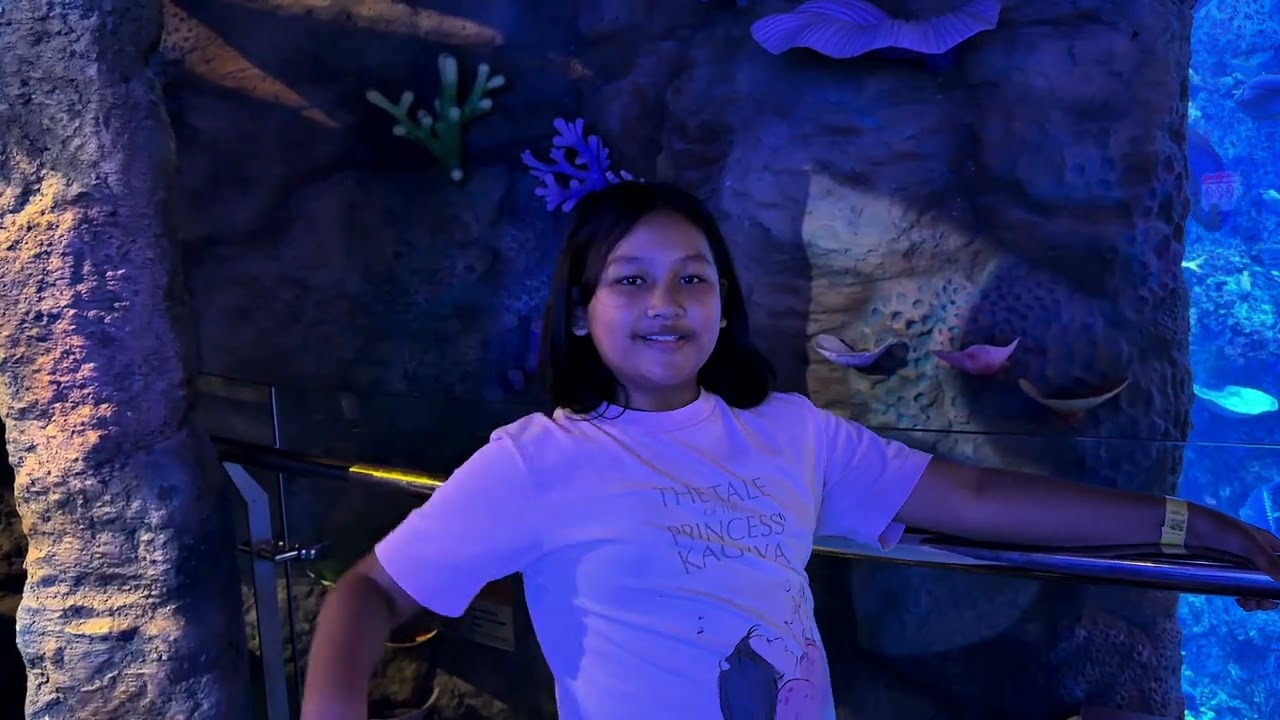 MiKeTo jalan-jalan lihat Aquarium di Jakarta ❤️