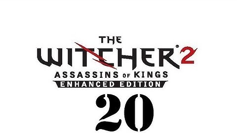 The Witcher 2: Assassins of Kings Enhanced Edition Walkthrough (Part 20) HD