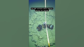 Seafloor Footage from Ocean Robot 🌊 deep-sea research team sends vehicle 7500 meters deep 😮🐙