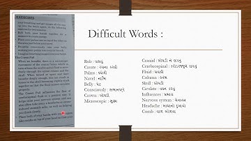 12th unit 3 Read 2, Stress Control Exercise