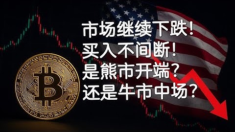 web3日报-大饼下探93000，买入不间断，是熊市开端，还是牛市中场休息！
