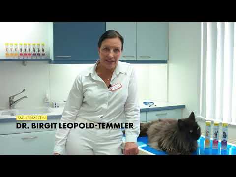 Video: Katzenhaarballen - Haarballen Bei Katzen - Behandlung Von Katzenhaarballen