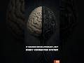 Human Brain vs AI Machine 🤖🧠 | The Future Is Here #Shorts