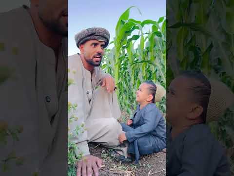 علي بيسرق قنديل طب هوا فين قنديل ياعلي