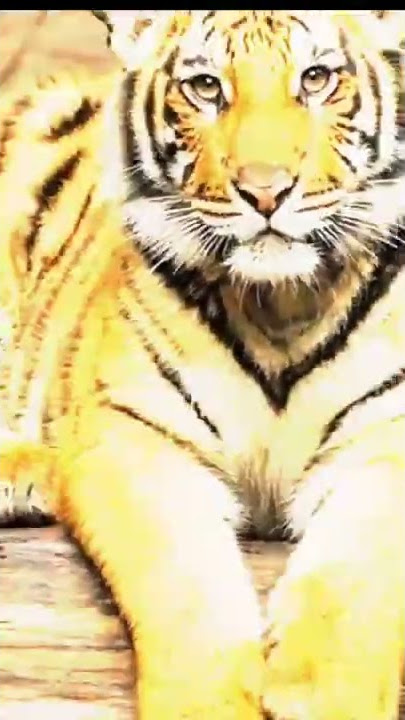 STORY WA JEDAG JEDUG KHODAM BANTENG HARIMAU SINGA HANOMAN CAPCUT DJ KU KIRA SA NIH KUAT 23 DETIK