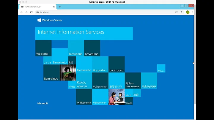 Virtual Box: Browse VM Website at the Host