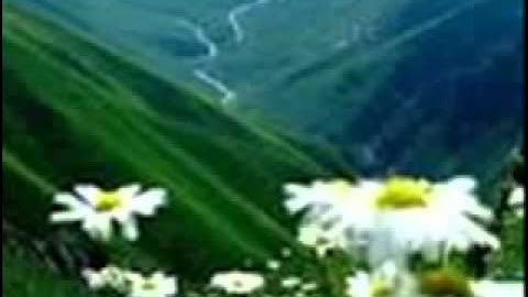 تلاوة حجازية للشيخ ياسر الدوسري أواخر سورة نوح