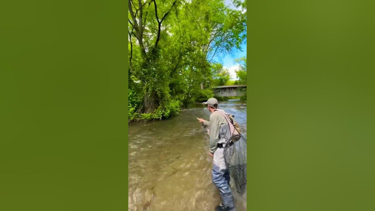 Euro nymphing a spring creek in 60 seconds 