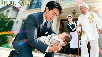 Tổng tài vô tình nhặt được đứa bé sơ sinh, nào ngờ là con ruột của anh,đưa về nhà cưng chiều hết mực