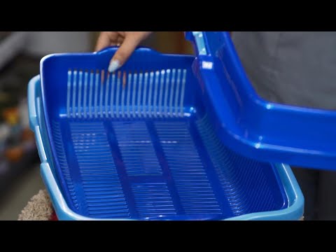 Как выбрать лоток для кошки?