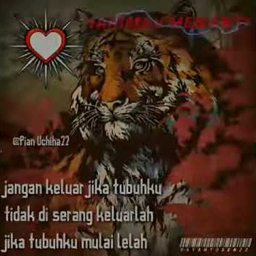 Quetos psht!!!harimau menanti 2020 #2