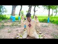 Must Watch New Funniest Comedy video 2022 amazing comedy video 2022 Episode 181 By Busy Fun Ltd