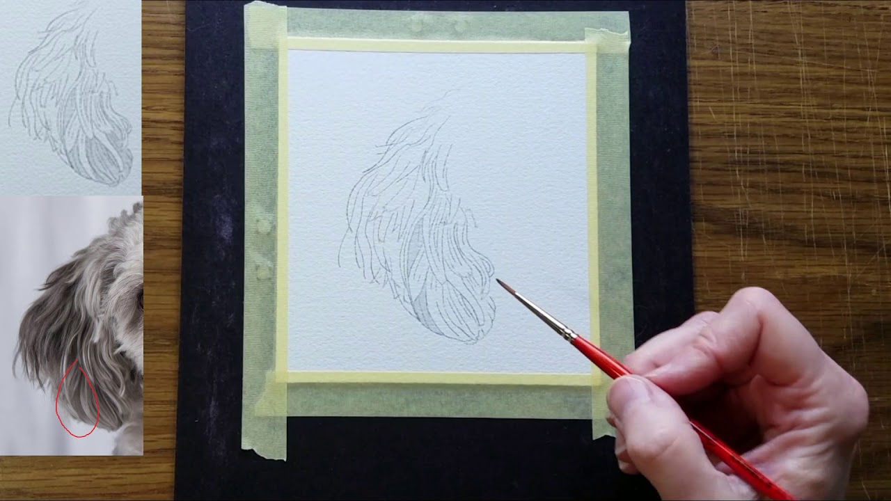 Part 1 How To Paint Chunky Fur A Dog s Ear In Watercolor YouTube part-1-how-to-paint-chunky-fur-a-dog-s-ear-in-watercolor-youtube