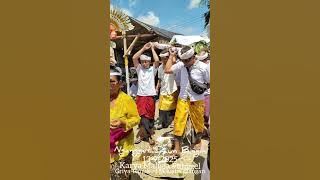 Ngangget Daun Bingin🙏Dudonan Maligia Punggel Griya Temuku Manuaba, Siangan 17-9-2025