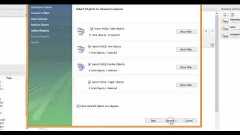 6  Reverse Engineering a Live Database