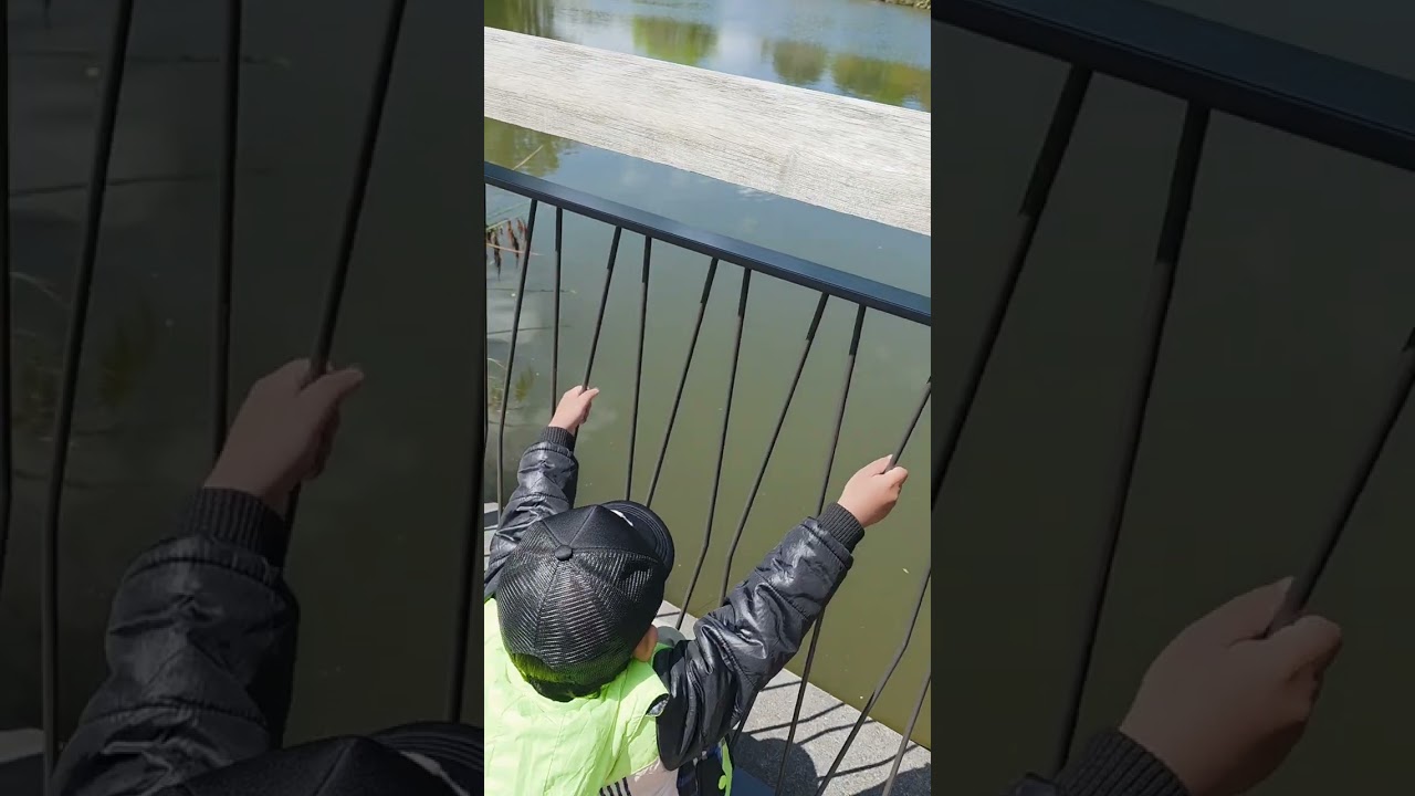 Pasyal sa Auckland Botanic Garden (Part 1), Auckland New Zealand 