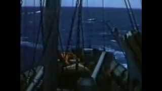 Banderas sobre el silencio -  de Antonio Caruso,  Antártida 1958