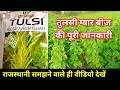   guvar ki top varietytulsi deepak gawar seedsunnat kismkheti kab kaise karen