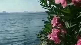 - Ayrılık Hasreti Kar Etti Cana - Özlem Şahin - Salim Şahin