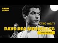 RACIM X CHEB MAMI PAYS DES MERVEILLES рџ рџ ї TRAP REMIX рџ Ґ RACIM X CHEB MAMI PAYS DES MERVEILLES рџ рџ ї TRAP REMIX рџ Ґ