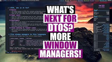 DTOS with Qtile? Dwm? Exwm? That