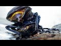 【4K/60fps】Excretion of Odontolabis Dalmanni　ダールマンツヤクワガタの排泄