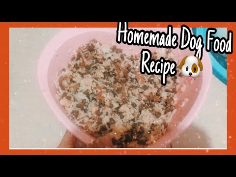 Homemade dog food recipe (familyb) |Philippines|Maan Sales - YouTube