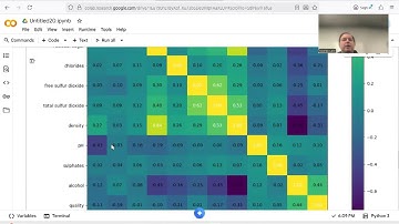 Training a classification model with PyTorch and the wine quality dataset